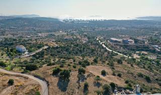 Αγροτεμάχια 10.217 τ.μ. για πώληση