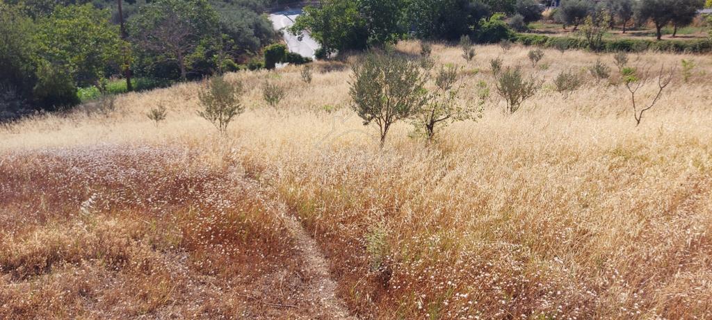 Land plot 2.730 sqm for sale, Achaia, Rio