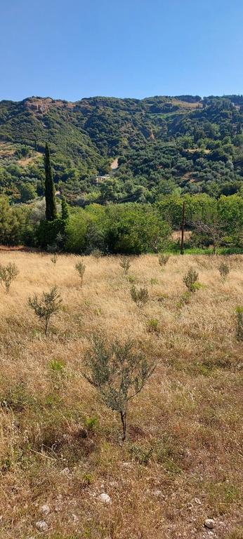 Οικόπεδο 2.730 τ.μ. προς πώληση, Αχαΐα, Ρίο