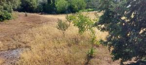 Οικόπεδο 2.730 τ.μ. προς πώληση, Αχαΐα, Ρίο-thumb-7