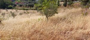 Οικόπεδο 2.730 τ.μ. προς πώληση, Αχαΐα, Ρίο-thumb-8