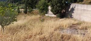 Οικόπεδο 2.730 τ.μ. προς πώληση, Αχαΐα, Ρίο-thumb-12
