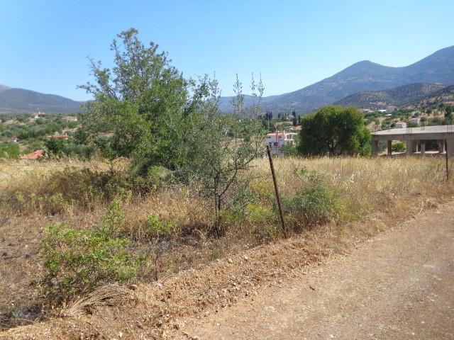 Οικόπεδο 272 τ.μ. προς πώληση, Καλλιθέα Αμαρύνθου