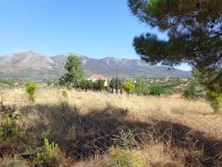 Οικόπεδο 272 τ.μ. προς πώληση, Καλλιθέα Αμαρύνθου-thumb-4