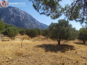 Land plot 5.602 sqm for sale, Samos Prefecture, Samos-thumb-1