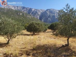 Land plot 5.602 sqm for sale, Samos Prefecture, Samos-thumb-4