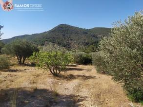 Land plot 5.602 sqm for sale, Samos Prefecture, Samos-thumb-8