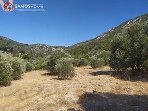 Land plot 5.602 sqm for sale, Samos Prefecture, Samos-thumb-9
