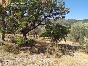Land plot 5.602 sqm for sale, Samos Prefecture, Samos-thumb-10