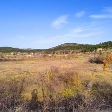 Αγροτεμάχια 4.000 τ.μ. για πώληση, Αρκαδία, Τρίπολη-thumb-6