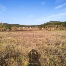 Αγροτεμάχια 4.000 τ.μ. για πώληση, Αρκαδία, Τρίπολη-thumb-14