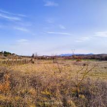 Αγροτεμάχια 4.000 τ.μ. για πώληση, Αρκαδία, Τρίπολη-thumb-25