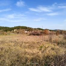Αγροτεμάχια 4.000 τ.μ. για πώληση, Αρκαδία, Τρίπολη-thumb-27