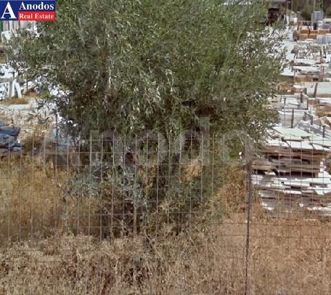 Land plot 1.325 sqm for sale, Athens - South, Vari - Varkiza