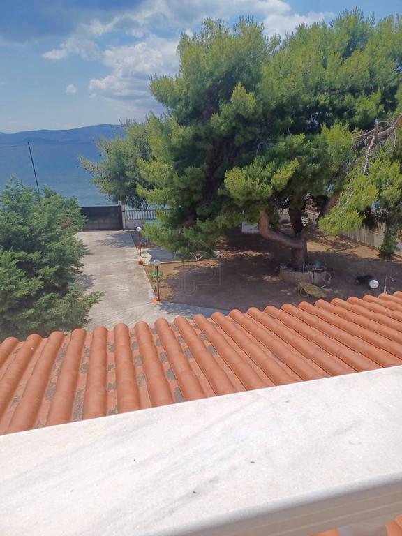 Βίλλα 370 τ.μ. πρός πώληση, Κορινθία, Άγιοι Θεόδωροι