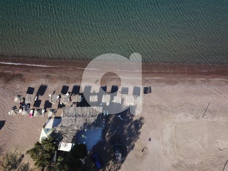 Αγροτεμάχια 4.000τ.μ. για πώληση-Ερμιόνη » Κουβέρτα