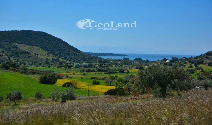 Αγροτεμάχια 10.900 τ.μ. για πώληση