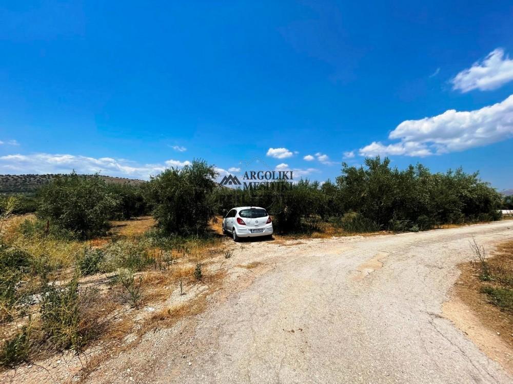 Αγροτεμάχια 5.400 τ.μ. πρός πώληση, Αργολίδα, Νέα Τίρυνθα