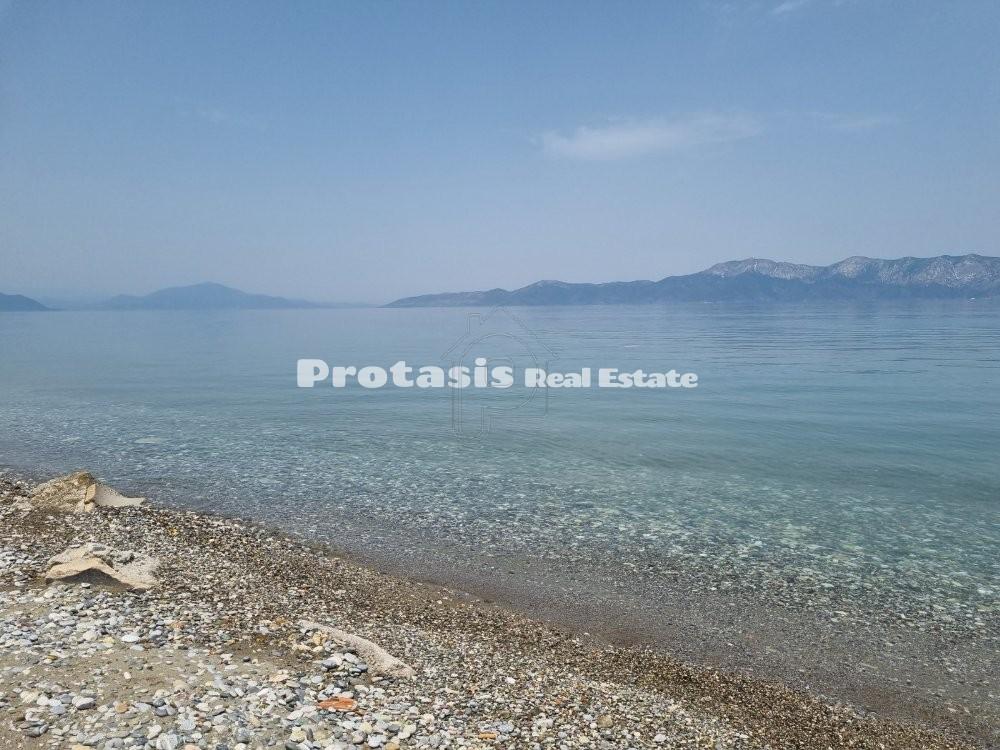 Αγροτεμάχια 5.239 τ.μ. προς πώληση, Πεύκη Αρτεμισίου