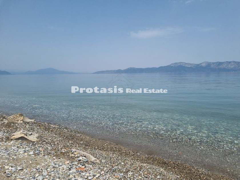 Αγροτεμάχια 5.239τ.μ. για πώληση-Αρτεμίσιο » Πεύκη