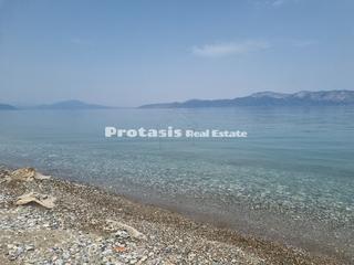 Αγροτεμάχια 5.239 τ.μ. για πώληση