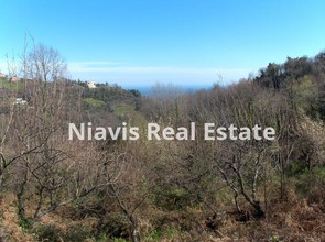 Land plot 4.193sqm for sale-Mouresi » Tsagkarada