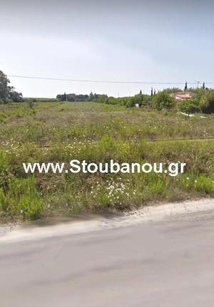 Αγροτεμάχια 9.778 τ.μ. για πώληση, Ν. Ηλείας, Λεχαινά