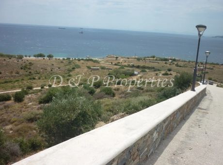 Αγροτεμάχια 10.000τ.μ. για πώληση-Κάρυστος » Ακρωτήρι
