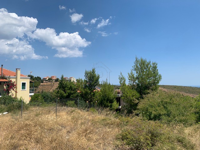 Land plot 500sqm for sale-Pikermi » Dioni