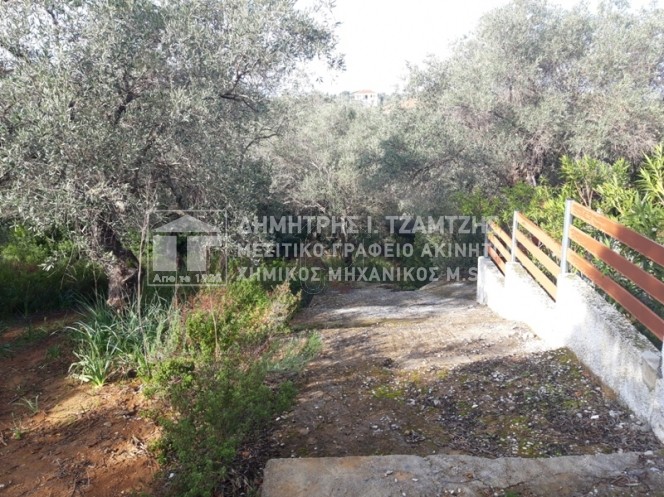 Parcel 1.468sqm for sale-Trikeri » Agia Sofia