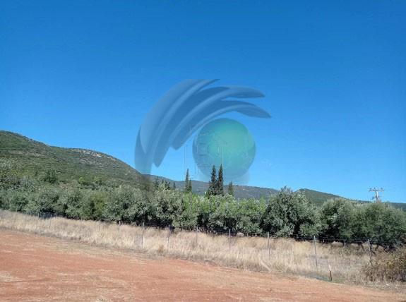 Οικόπεδο 2.600 τ.μ. προς πώληση, Αχαΐα, Φαρές
