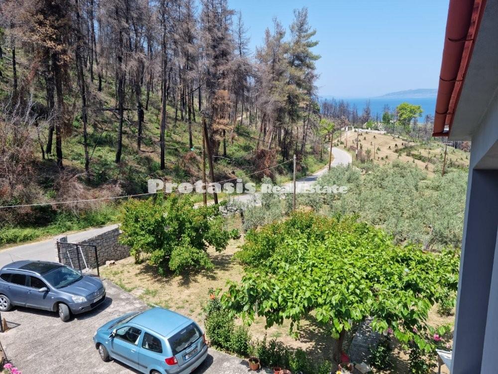 Μονοκατοικία 175 τ.μ. προς πώληση, Πεύκη Αρτεμισίου