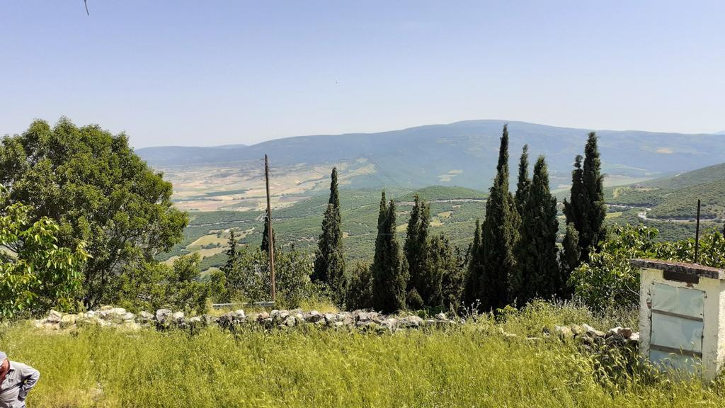 Μονοκατοικία 300 τ.μ. προς πώληση, Κέντρο Δομοκού