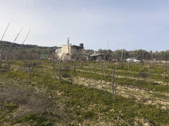 Parcel 11.000 sqm for sale, Heraklion Prefecture, Nikos Kazantzakis