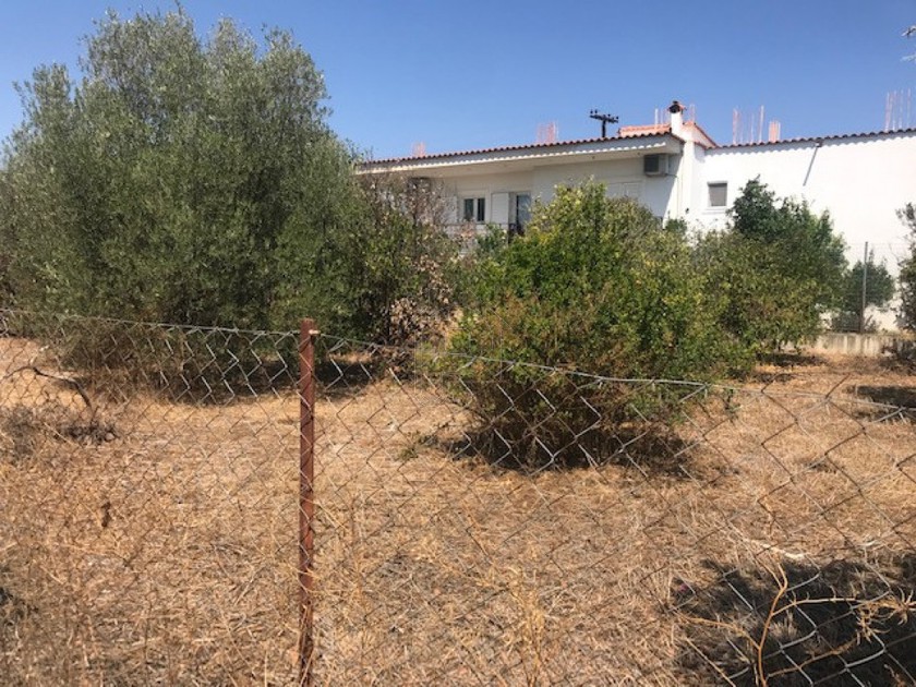 Οικόπεδο 1.055τ.μ. για πώληση-Σικυώνα » Κάτω διμηνιό