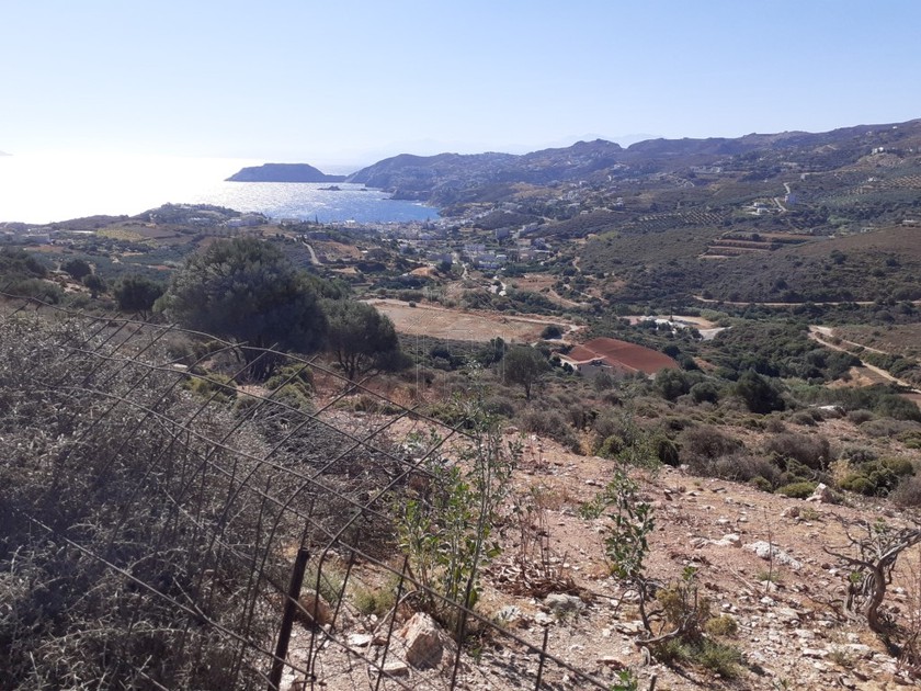 Οικόπεδο 6.000 τ.μ. για πώληση