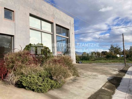 Επιχειρηματικό κτίριο 830τ.μ. για πώληση-Βόλος » Νέες παγάσες