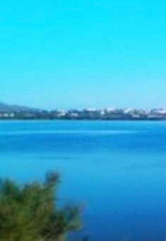 Land plot 4.570sqm for sale-Naxos » Agios Arsenios