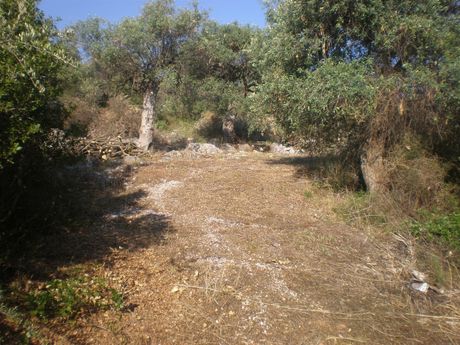 Οικόπεδο 1.086τ.μ. για πώληση-Θάσος » Σκάλα καλλιράχης