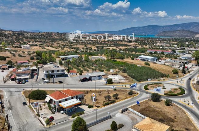 Οικόπεδο 1.373 τ.μ. για πώληση, Αργολίδα, Κρανίδι