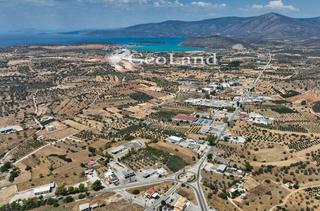 Οικόπεδο 1.373 τ.μ. για πώληση, Αργολίδα, Κρανίδι-thumb-10