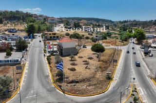 Οικόπεδο 1.373 τ.μ. για πώληση, Αργολίδα, Κρανίδι-thumb-13