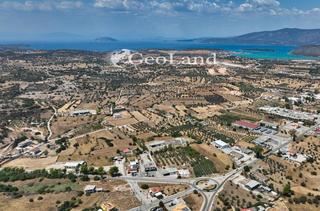 Οικόπεδο 1.373 τ.μ. για πώληση, Αργολίδα, Κρανίδι-thumb-15