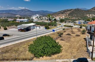 Οικόπεδο 1.373 τ.μ. για πώληση, Αργολίδα, Κρανίδι-thumb-16