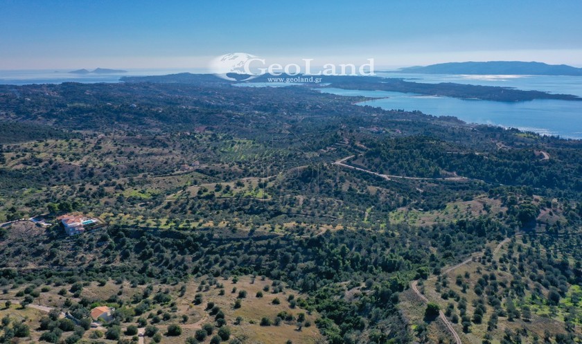 Parcel 2.020sqm for sale-Kranidi » Kampos