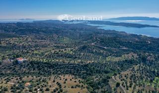 Αγροτεμάχια 2.020 τ.μ. για πώληση