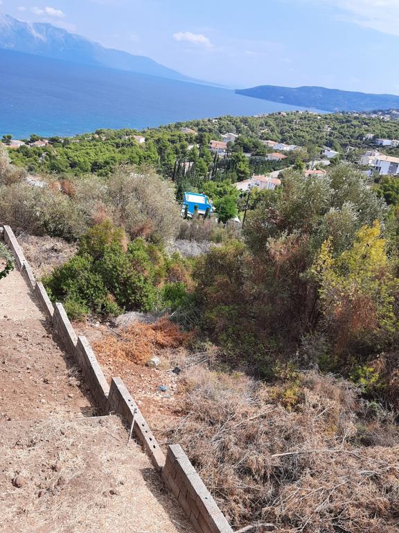Οικόπεδο 1.054 τ.μ. πρός πώληση, Φθιώτιδας, Μαλεσίνα