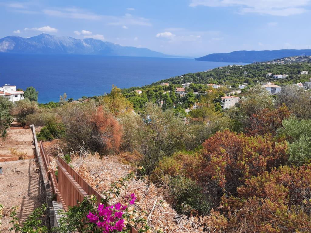 Οικόπεδο 1.054 τ.μ. πρός πώληση, Φθιώτιδας, Μαλεσίνα
