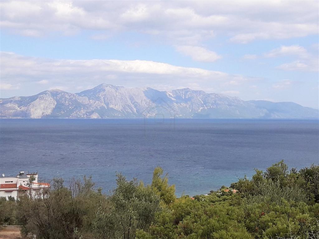 Οικόπεδο 1.054 τ.μ. πρός πώληση, Φθιώτιδας, Μαλεσίνα