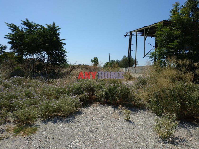 Αγροτεμάχια 4.000 τ.μ. για πώληση
